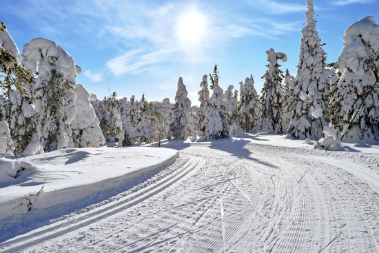 Skifahren, Snowboarden, Langlaufen – Winter in Altenmarkt-Zauchensee im 3 Sterne Hotel & Gasthof Markterwirt, Salzburger Land